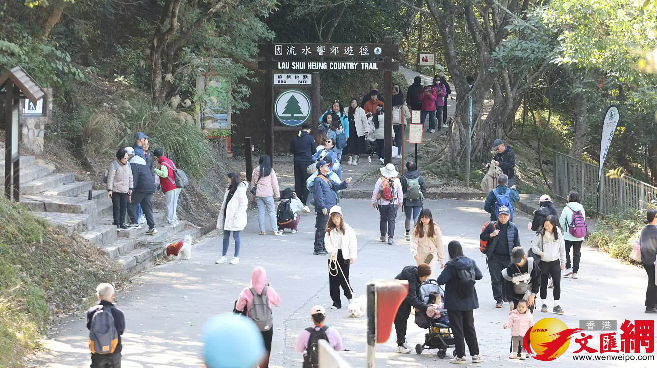 适逢冬意日深、红叶渐红，大批香港市民涌至粉岭流水响水塘的落羽杉树群观赏红叶。 (香港文汇报记者黄艾力 摄)