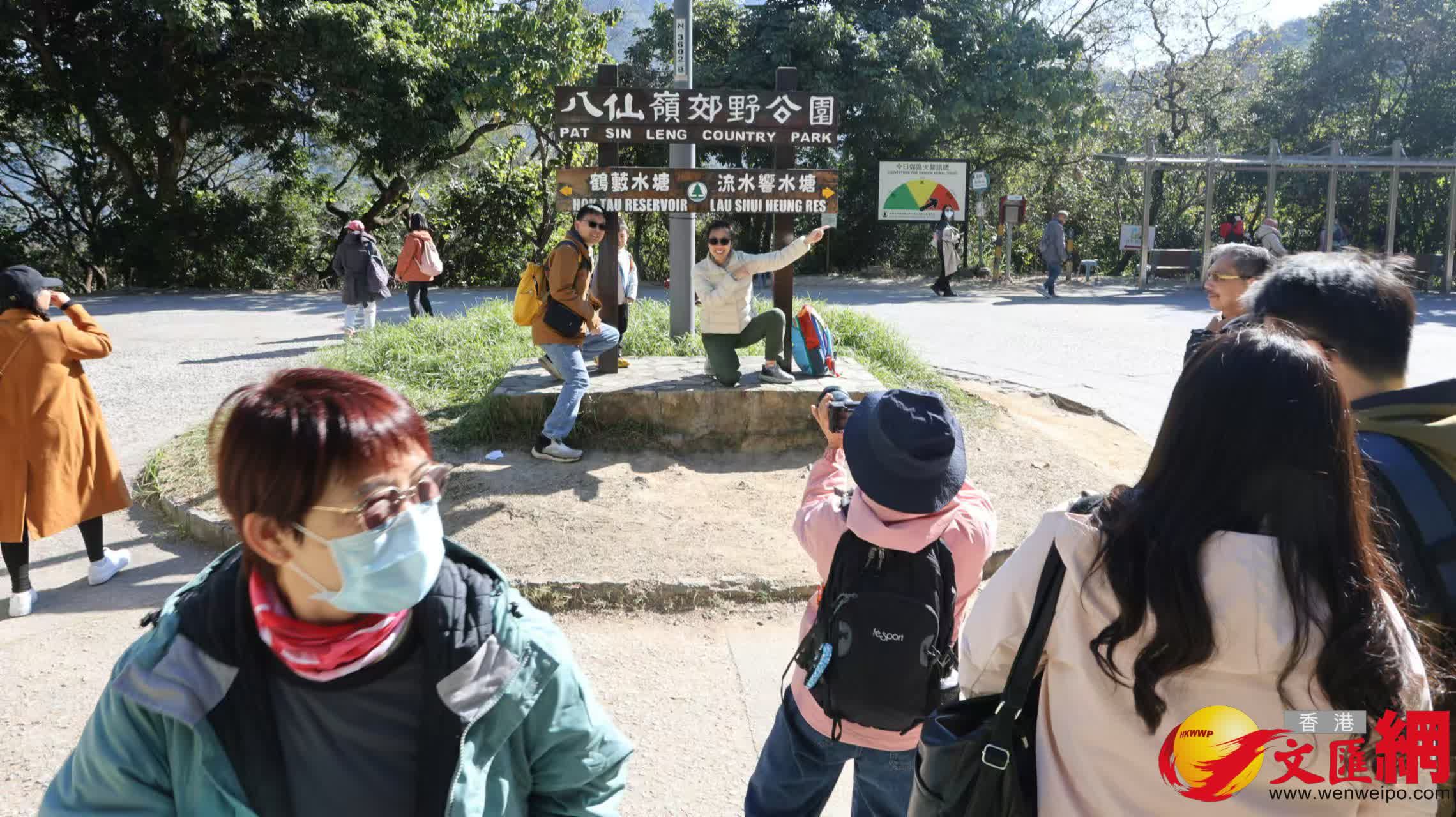适逢冬意日深、红叶渐红，大批香港市民涌至粉岭流水响水塘的落羽杉树群观赏红叶。 (香港文汇报记者黄艾力 摄)
