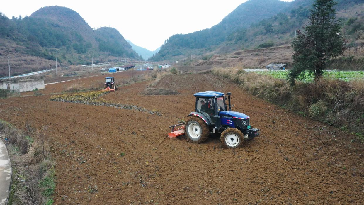 黔南州：“铁牛”下田 耕耘春天——黔南州农业机械化助力农业现代化观察