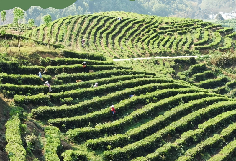 罗甸县上隆村：“农文旅融合”绘出乡村振兴新图景