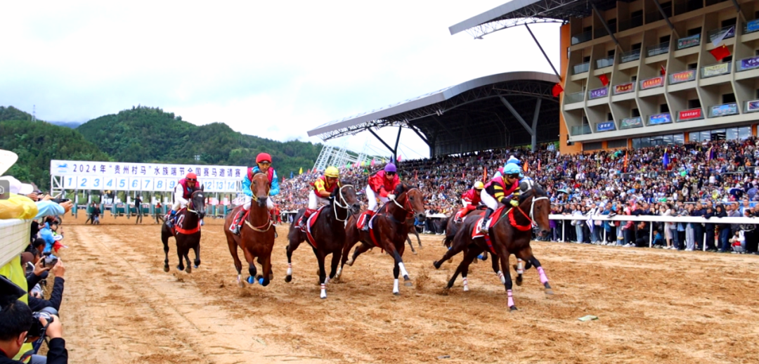 贵州农文旅精品线路︱黔南州“享世遗·赏端马·沐冬阳”乡村农文体旅路线