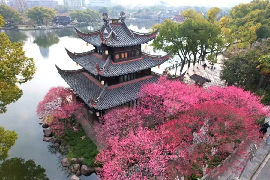 宁波：打卡4家景区，免费游26家