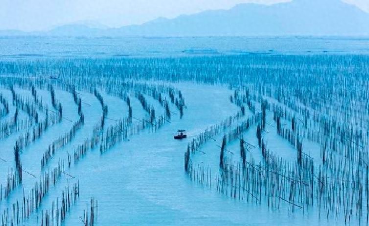 福建大反转！霞浦杀出重围，厦门福州都没预判，凭什么火遍全国？