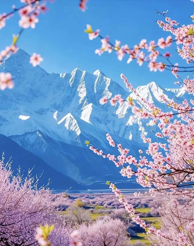 强烈建议3-4月走起的7条自驾线路！一到春天就开启仙境模式 