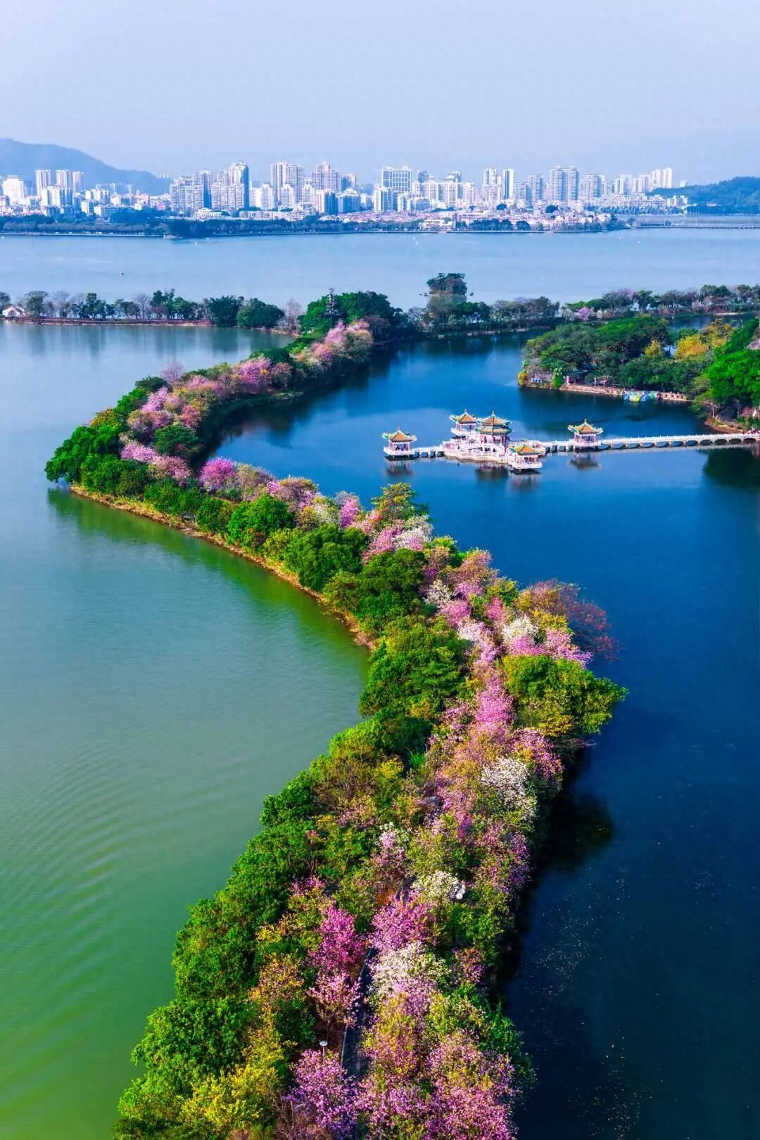 看完球来赏景！肇庆花式喊话：5A级星湖景区免费游！