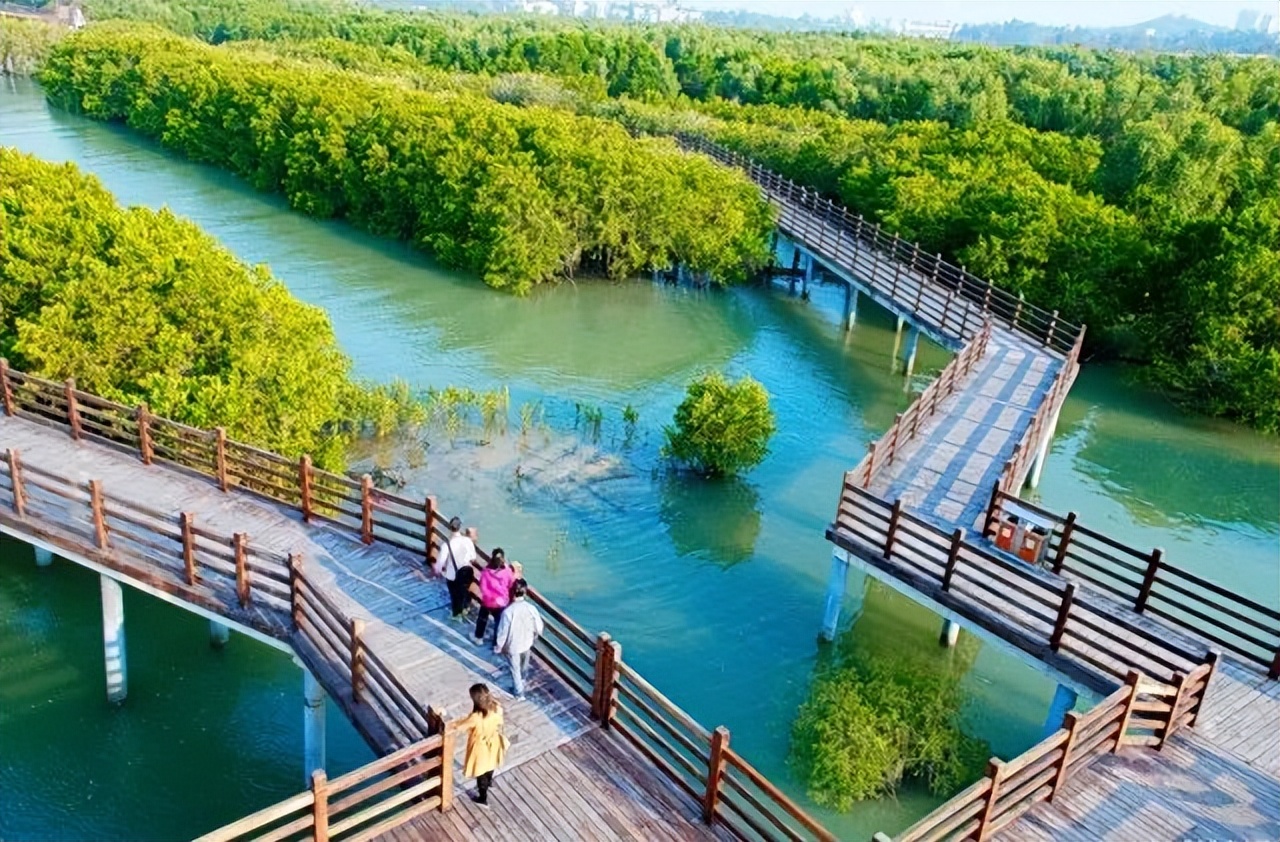 省级认证！茂名这片美丽海湾藏不住了→