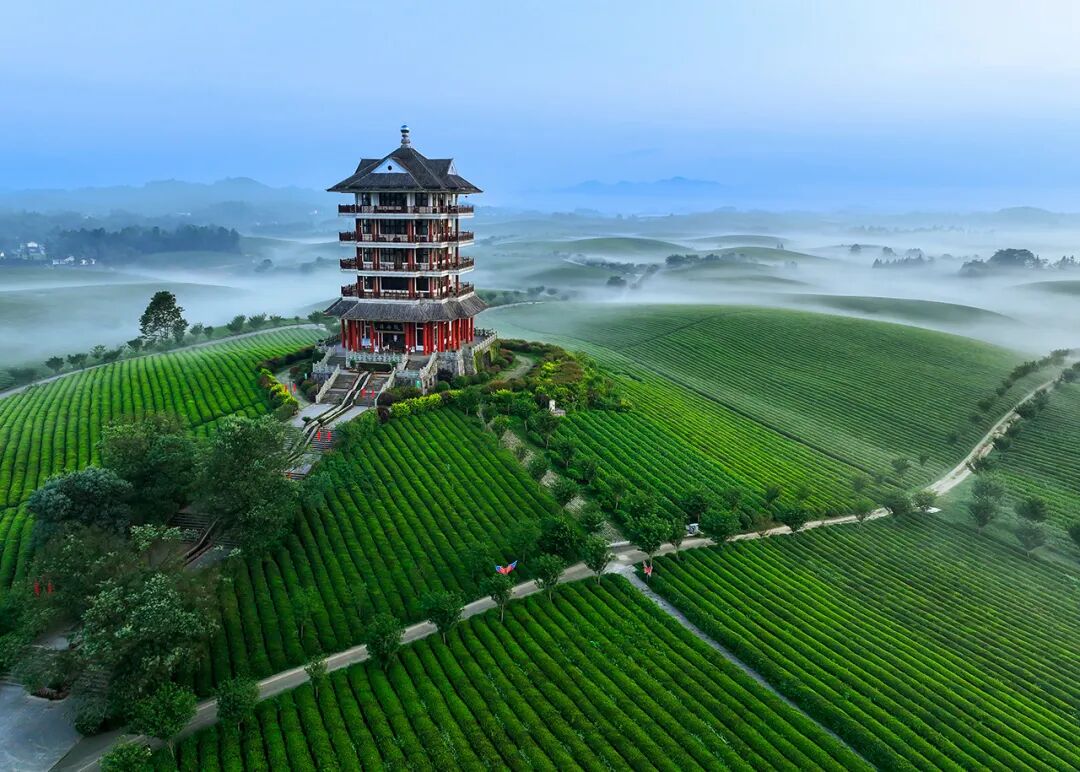 六天连休攻略｜春假&清明活动来啦！假日到遵义，赴一场治愈满满的春之约 