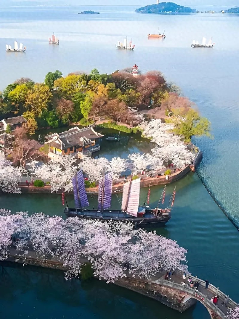 清明江南赏花记：赴一场春日的风雅之约 