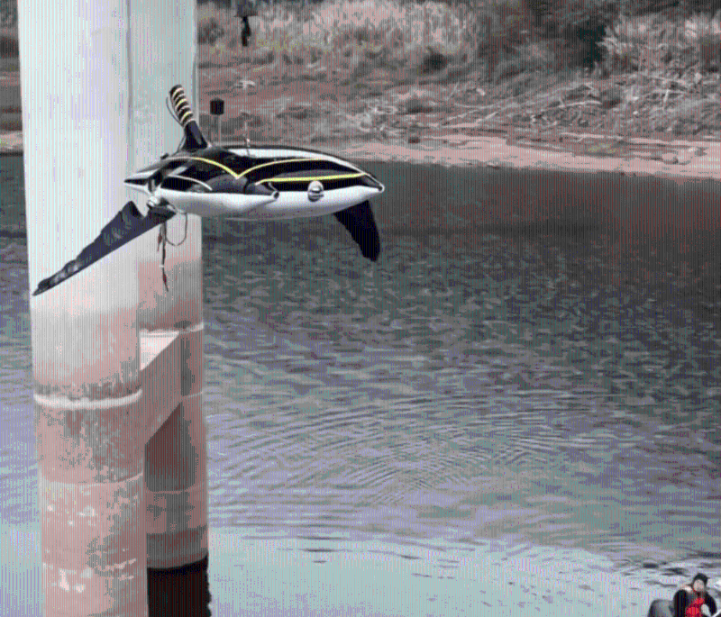 全球独创国产“魔鬼鱼”， 深水锁定爆炸物