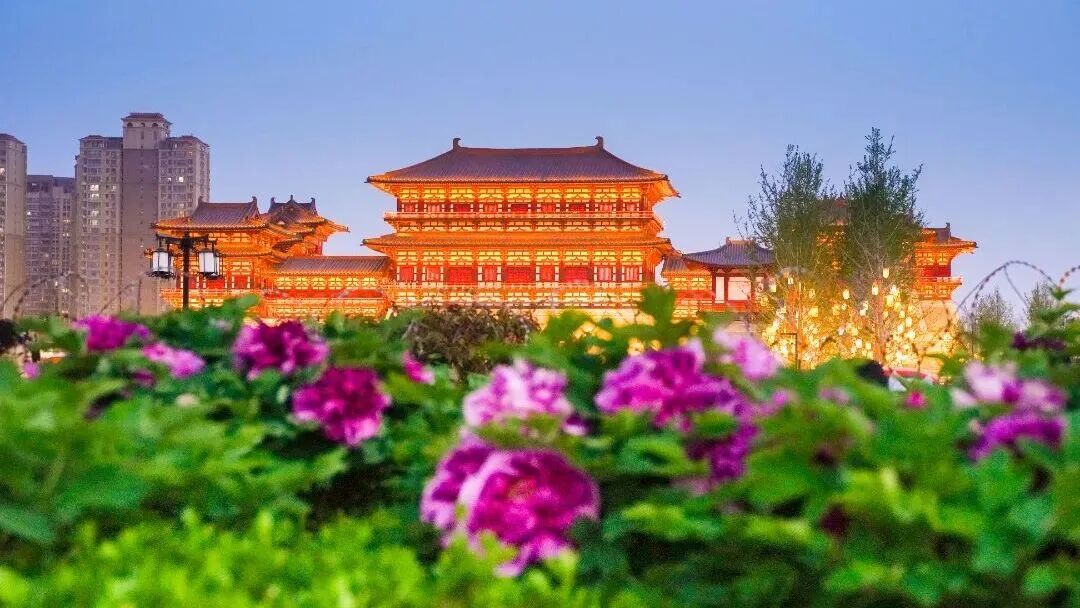 4月来洛阳，一天你就这么玩！