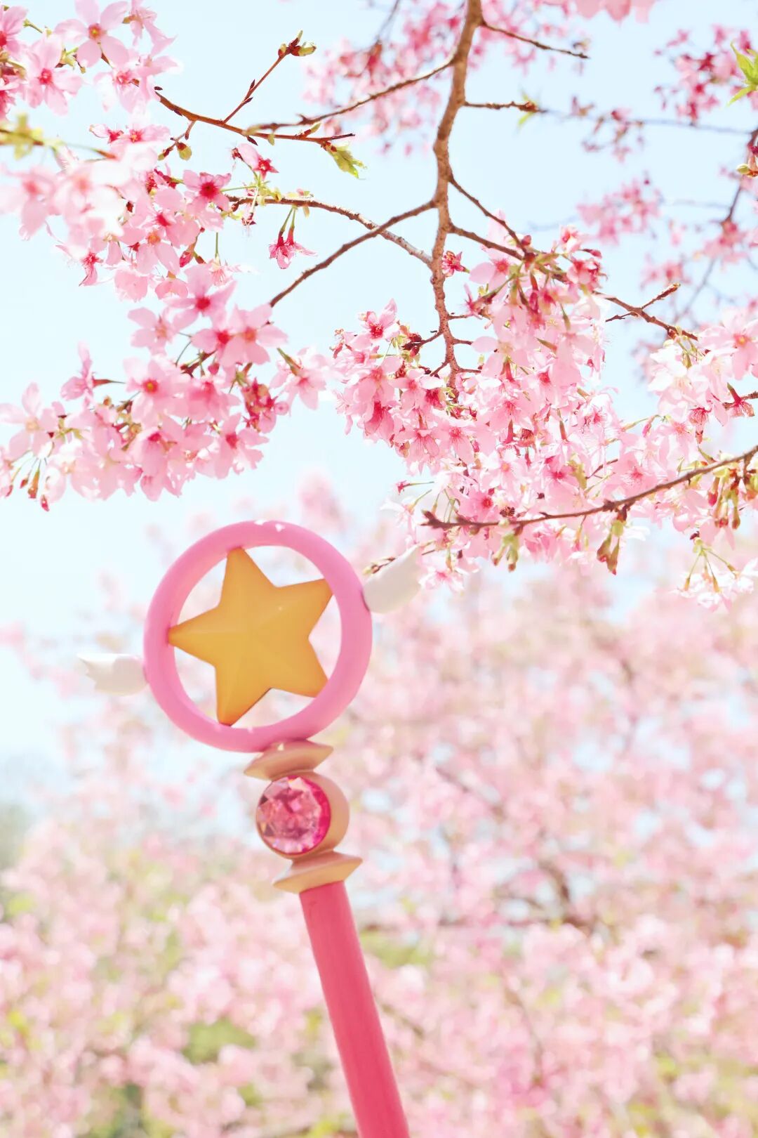 火爆全网！这份闽侯“Color Walk指南”太值得逛了！ 