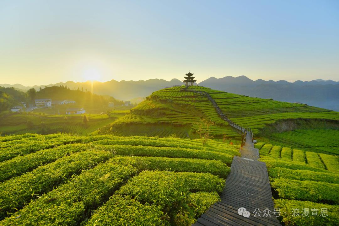 3月31日武汉天河机场，遇见浪漫宣恩！