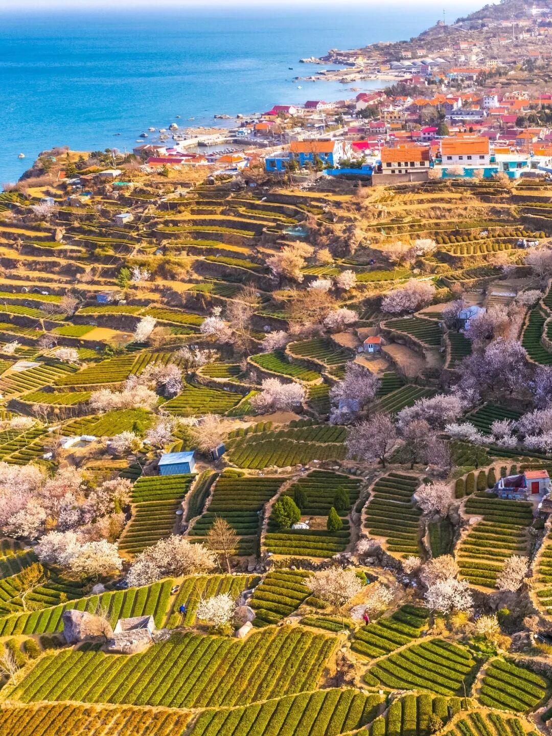 4月最应该去哪儿玩？