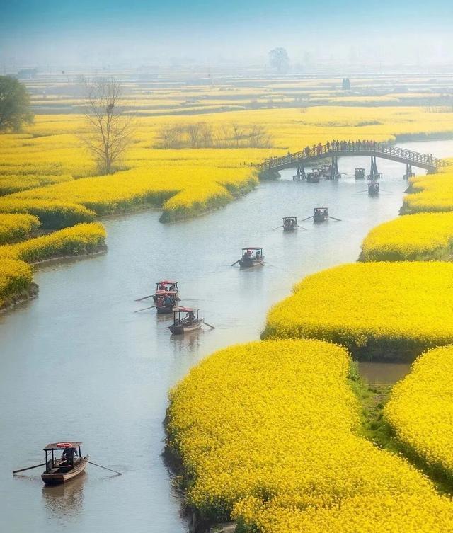 4月必出发！江浙沪最适合春季出游的7座小城，低调美景藏不住了！