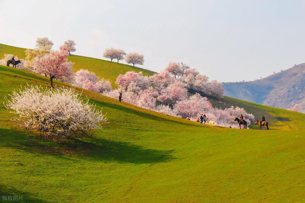 4-6月适合去的6个目的地，春夏光景佳，人少气候爽 