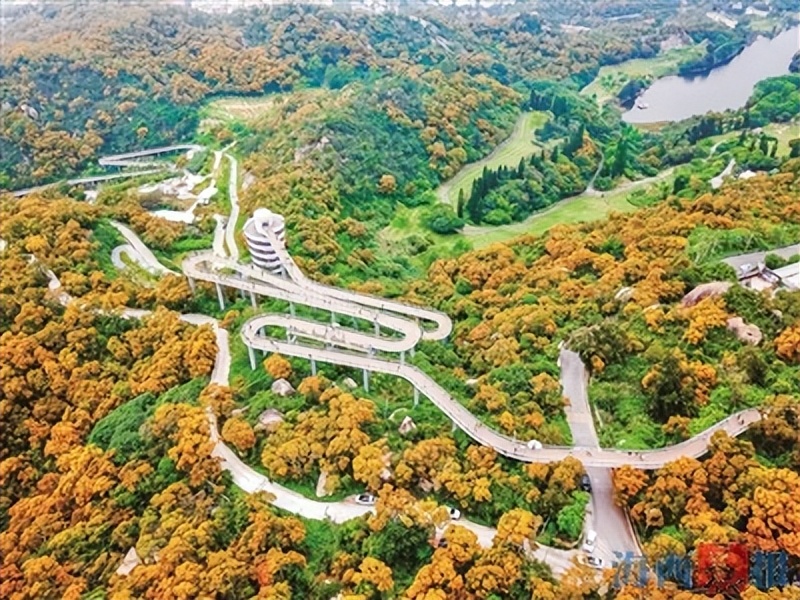 一城步道连山海 满目青绿入画来！晨报盘点厦门特色步道，解锁家门口休闲新体验，带您感受诗意厦门