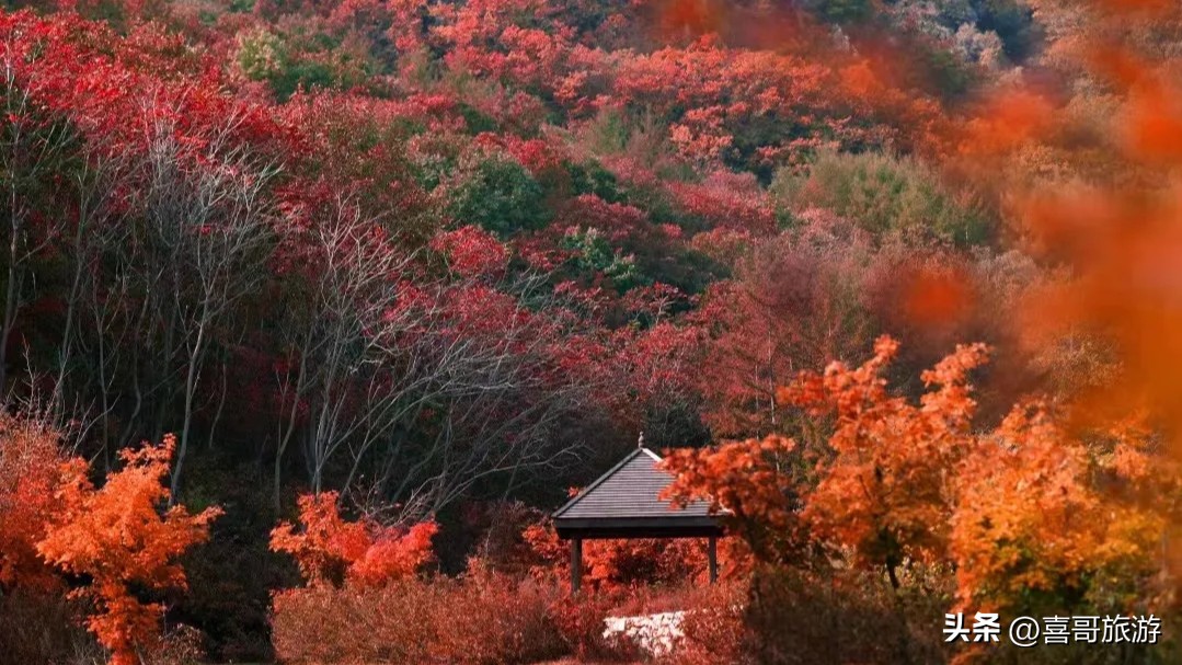 云上天门：邂逅大连后花园的四季传奇