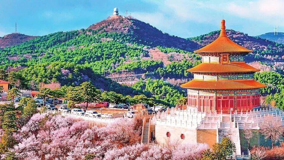 花海+森林+氧吧，春天来晋中爬山吧 