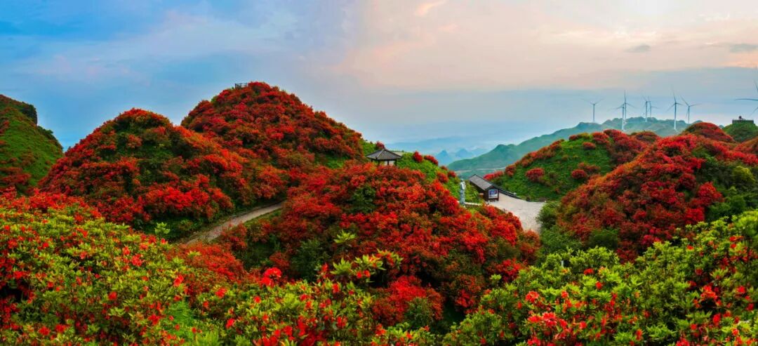 这个五一，去洪关，花间听民乐，苗寨饮春风 