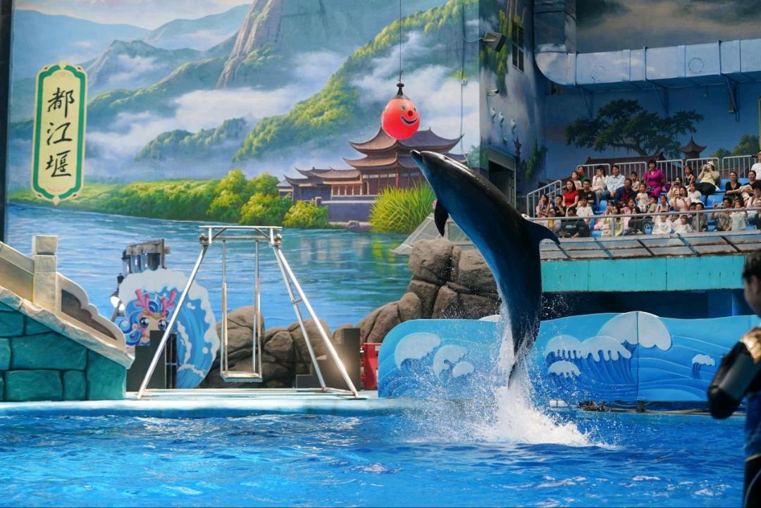 成都第二！“五一”热门城市榜单出炉→